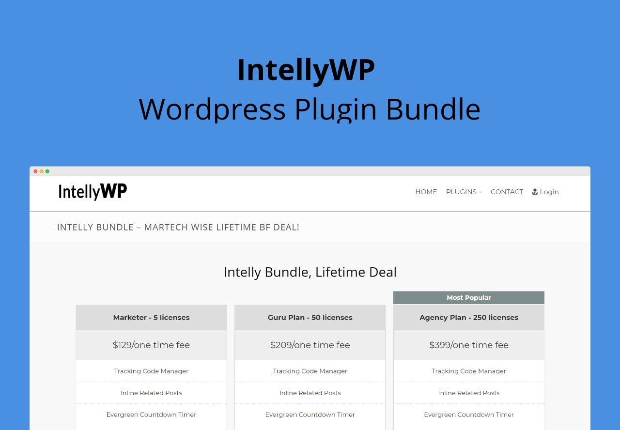 Intellywp lifetime deal