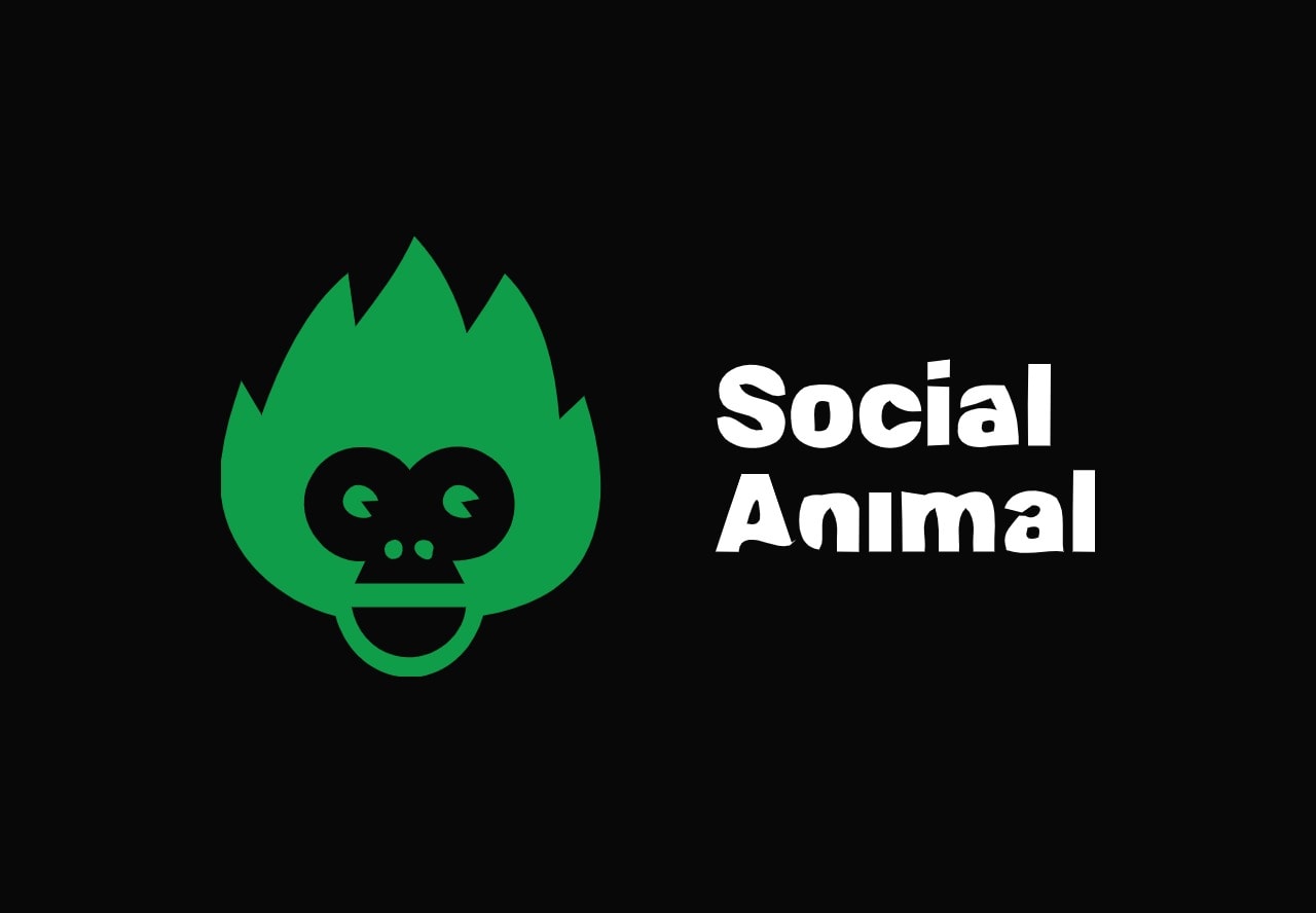 Social Animal lifetime deal on appsumo