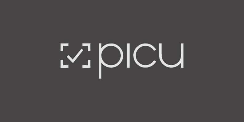 Picu Black Friday Deal