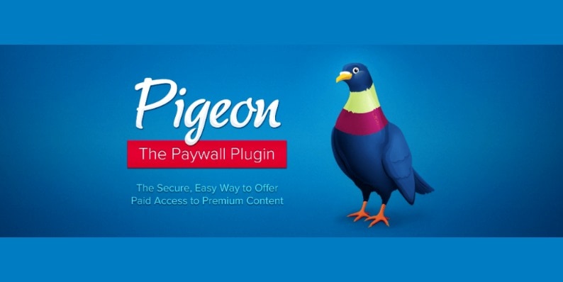 Pigeon Paywall Black Friday Deal