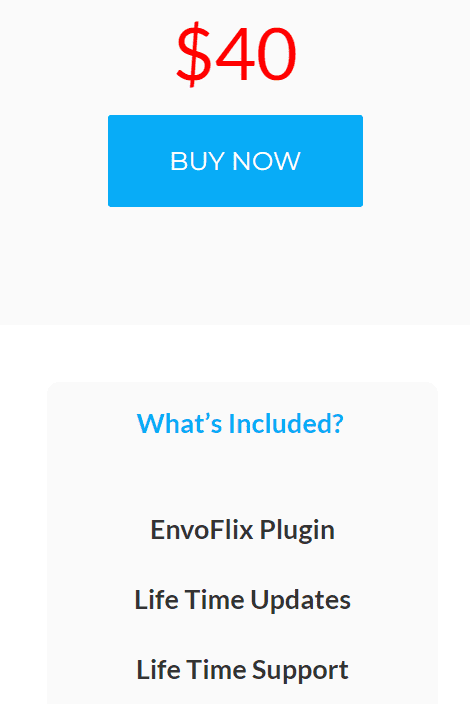 envoflix regular pricing