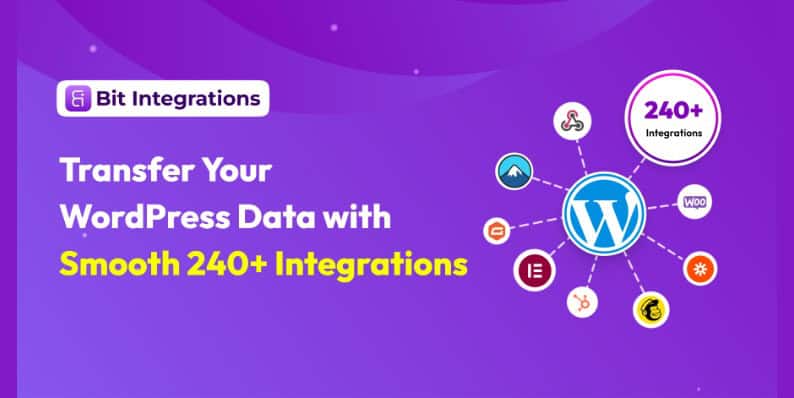 Bit Integrations Black Friday Deal