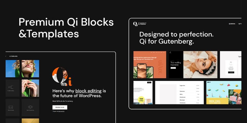 Qi Templates for Gutenberg Black Friday Deal