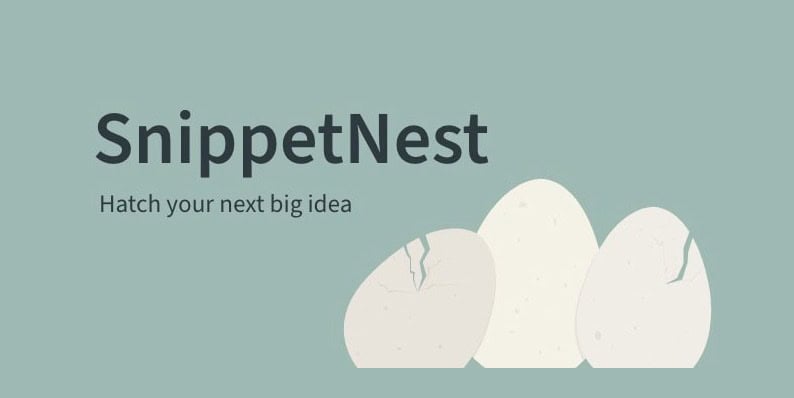 SnippetNest Black Friday Deal