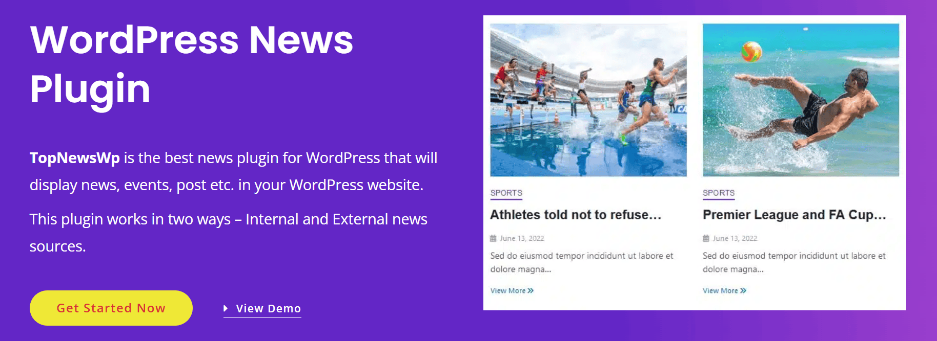 WordPress News Black Friday Deal