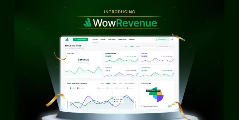 WowRevenue Black Friday Deal