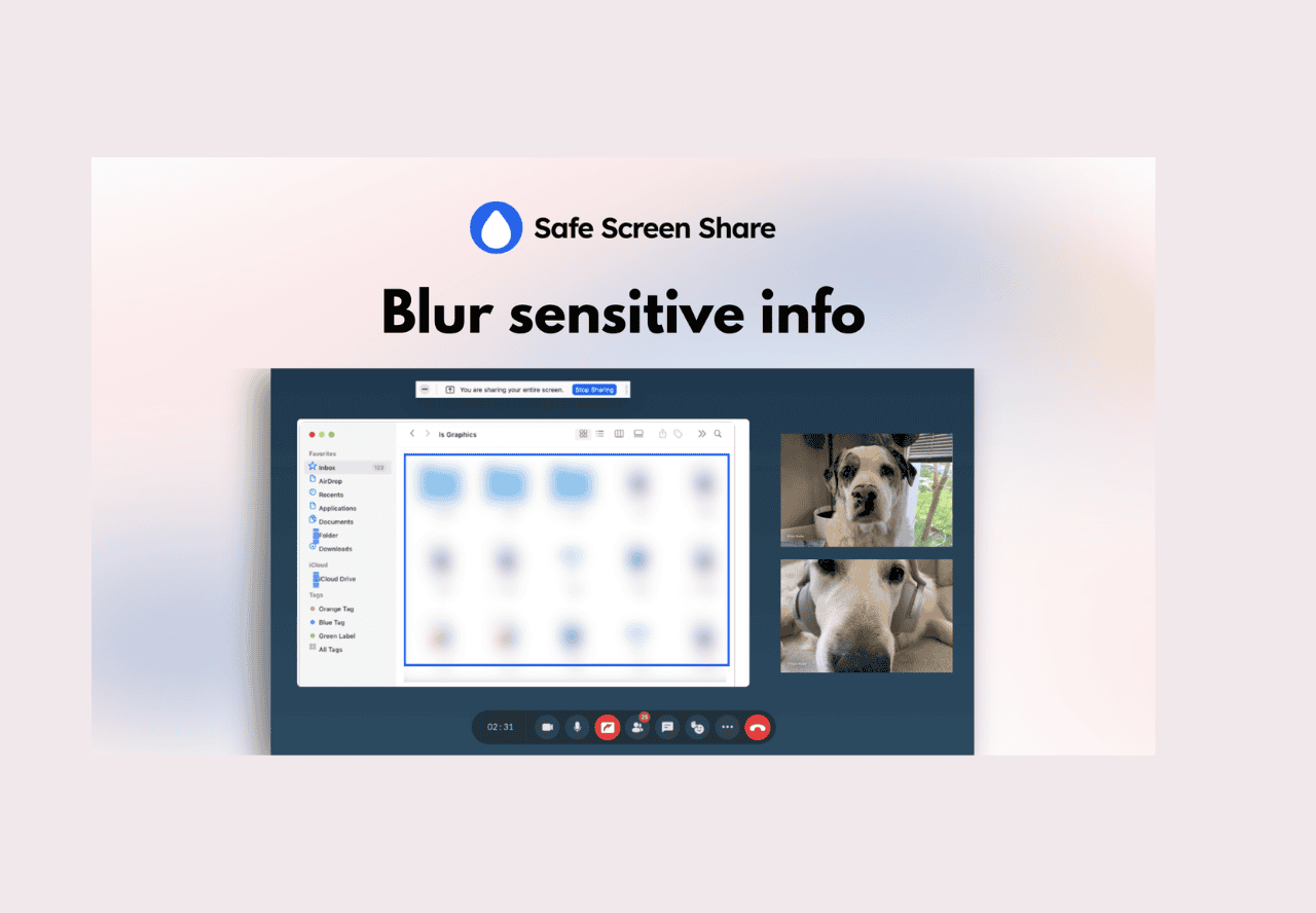 Safe Screen Share Lifetime Deal on Saaszilla