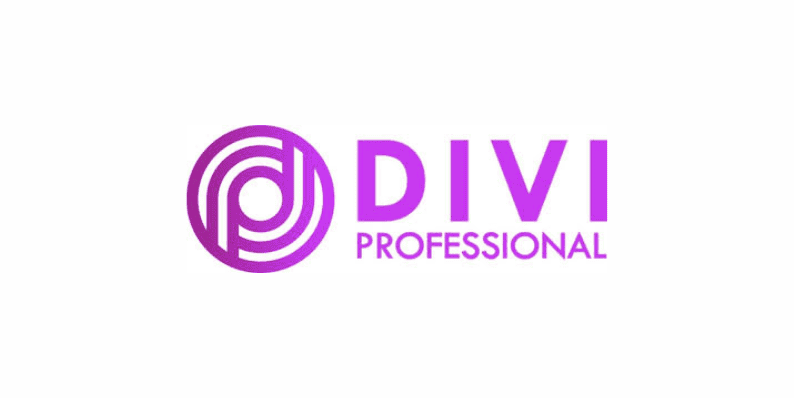 Divi Professional Black Friday Deal